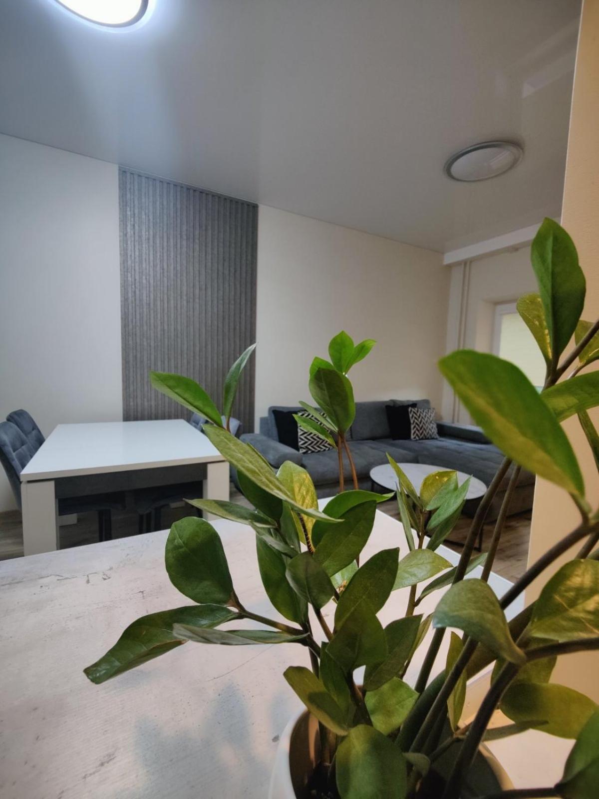 V15 Apartment Друскининкай Екстериор снимка